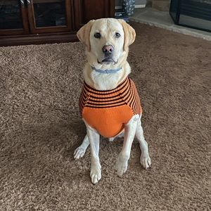 Meet your Posher, Elise